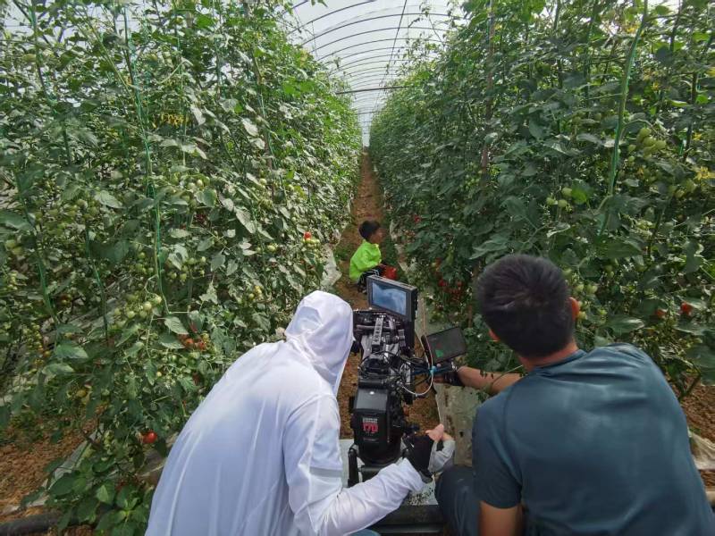 柳北区产品宣传视频拍摄公司进阶指南，助力品牌抢占传播高地